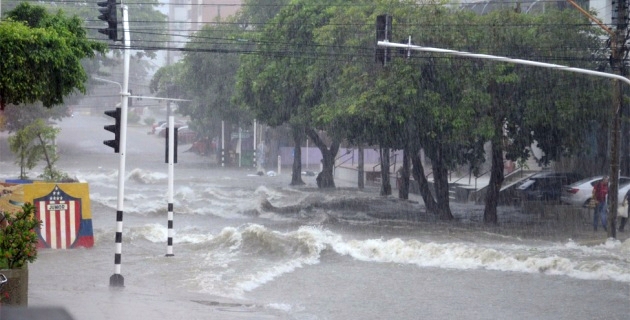 Le torrent de la rue 76 (c'est un tout petit torrent)
